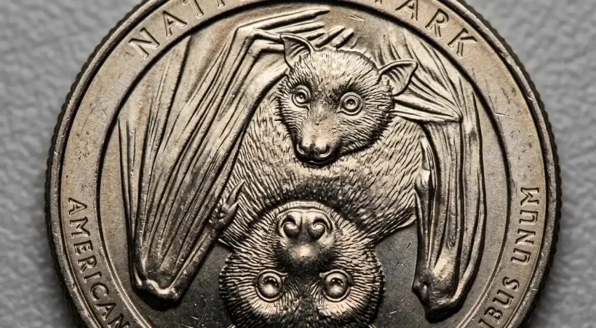 Macro shot of 2020 bat quarter reverse with mother bat and pup